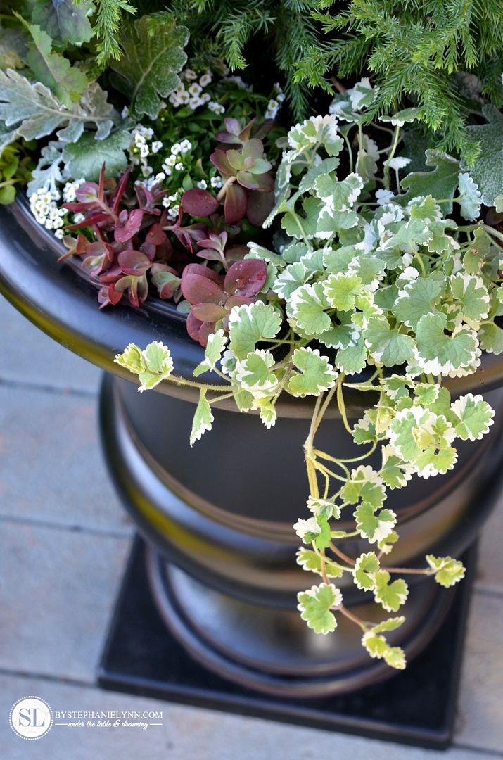 Container Plantings front porch urns bystephanielynn